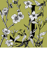 Julie North Logo