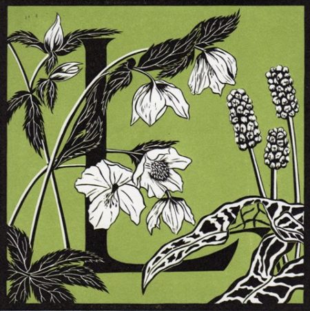 linocut by Julie North