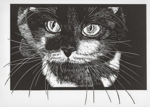 linocut by Julie North