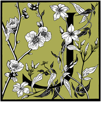 Julie North Logo